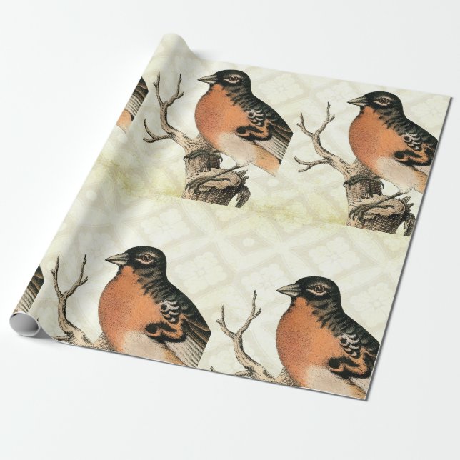 Papier Cadeau Oiseau vintage (Déroulé)