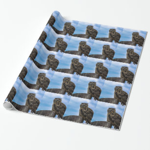 Papier Cadeau Oiseaux de hibou Plumes Animaux Nature Destinée Pa