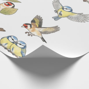 Papier Cadeau Oiseaux de jardin britanniques vintage aquarelle f