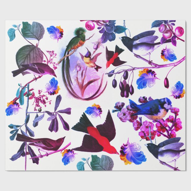 Papier Cadeau OISEAUX DE PRINTEMPS, PLUMES ET FRUITS Bleu rose F (Plat)