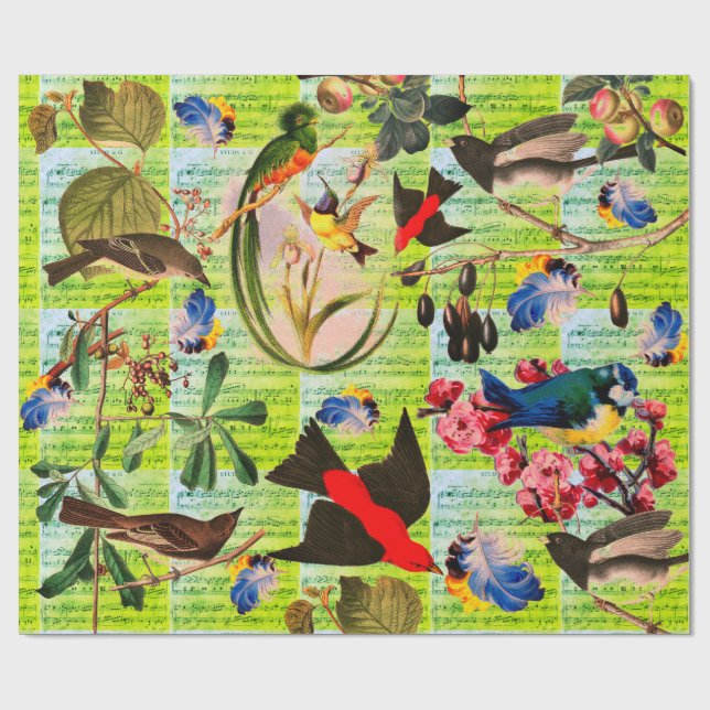 Papier Cadeau OISEAUX DE PRINTEMPS, PLUMES, FRUITS Notes musical (Plat)