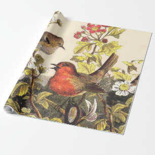 Papier Cadeau Oiseaux de printemps Robin Oiseaux rouges