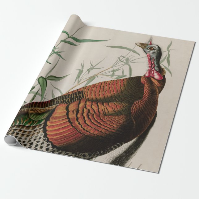 Papier Cadeau Oiseaux sauvages de Turquie d'Amérique Audubon Imp (Déroulé)
