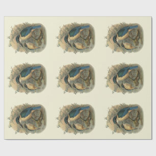 Papier Cadeau Oiseaux vintages de NZ de la Science -