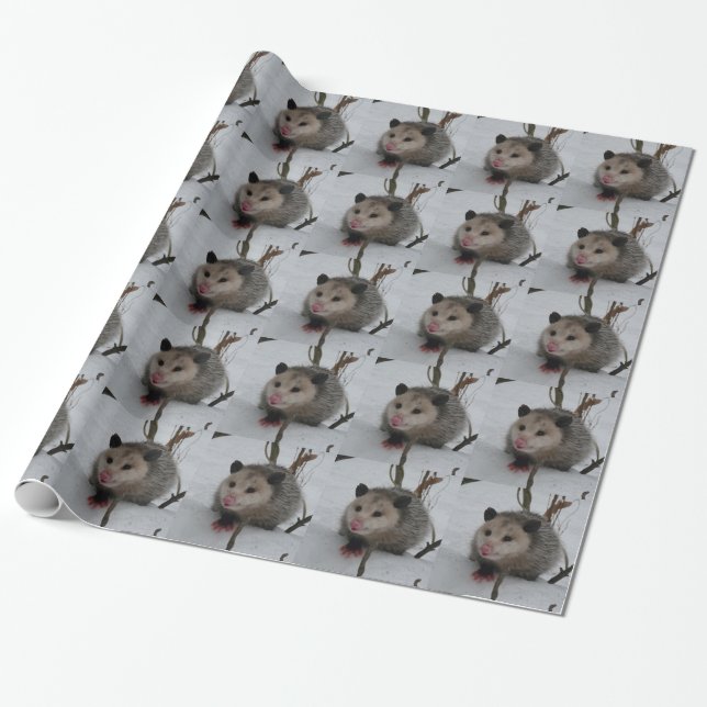 Papier Cadeau Opossum (Déroulé)