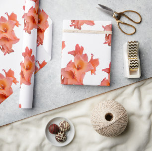 Papier Cadeau Orange gladiolus Floral