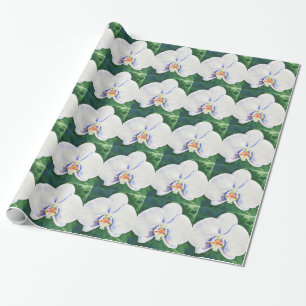 Papier Cadeau Orchidée blanche