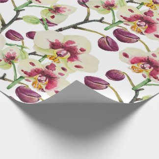 Papier Cadeau Orchidées et floral