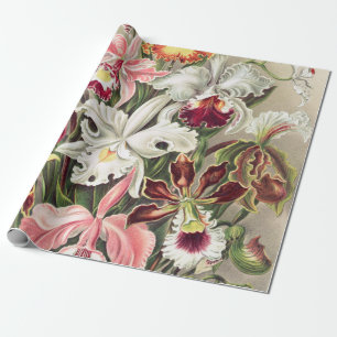 Papier Cadeau Orchidées, Orchidées Denusblumen par Ernst Haeck