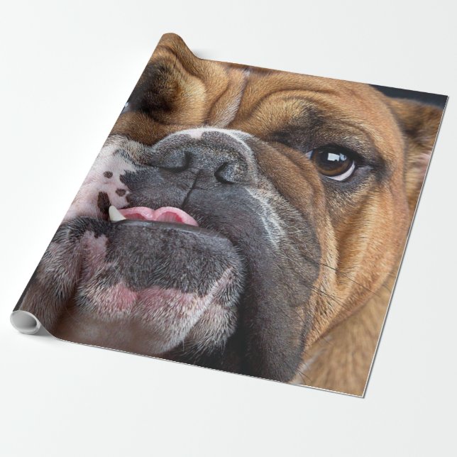 Papier Cadeau Oreillers à lancer de Bulldog anglais (Déroulé)