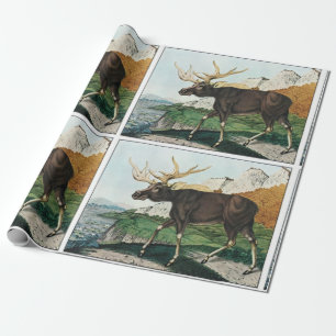Papier Cadeau Orignaux vintages d'art