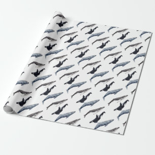 Papier Cadeau Orque, baleine bossue et baleine gris