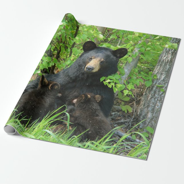 Papier Cadeau Ours noir et cubes jumeaux (Déroulé)