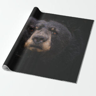 PAPIER CADEAU OURS NOIR SUR BRANCHE BROWN EN BOIS ARBRE