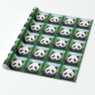 Papier Cadeau Ours Panda