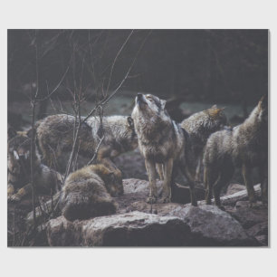 Papier Cadeau Pack Wolf