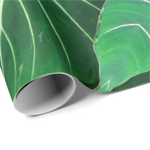 Papier Cadeau Palm Leaf, feuillage tropical, forêt tropicale
