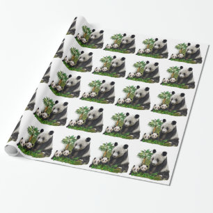 Papier Cadeau Panda Bears