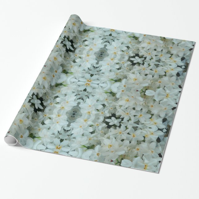 Papier Cadeau Paperwhite Narcissus Fleurs blanches délicates (Déroulé)