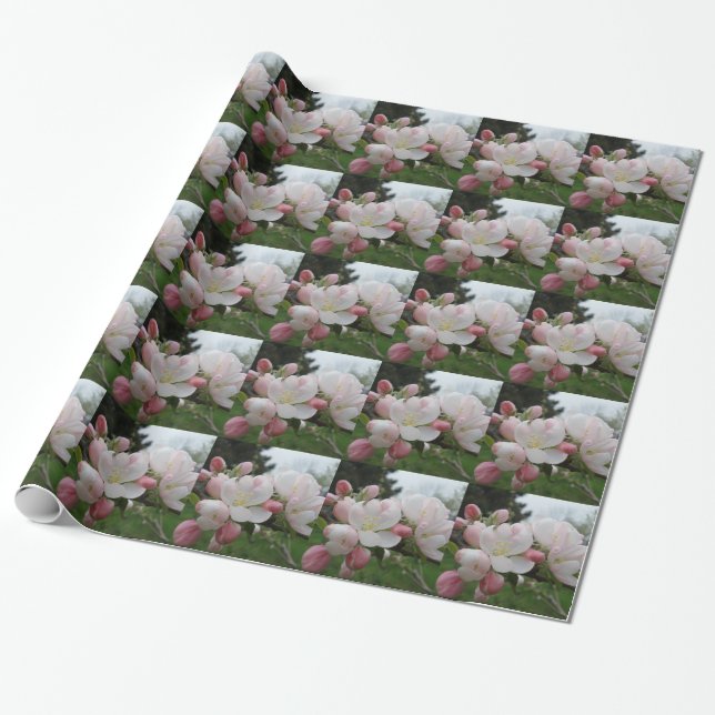 Papier Cadeau Papier à enveloppement blanc et rose (Déroulé)