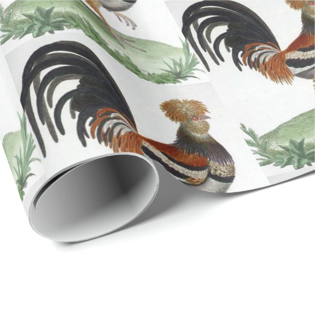 Papier Cadeau Papier à enveloppement brillant Français Bird (Coin rond)