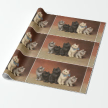 Papier à enveloppement de cinq chatons mignons