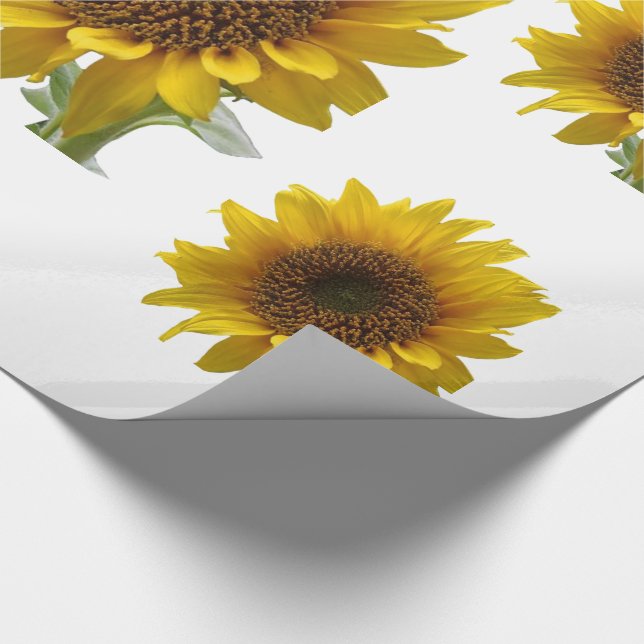 Papier Cadeau Papier à enveloppement de tournesol (Coin)
