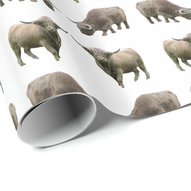 Papier Cadeau Papier à enveloppement français pour vache Highlan (Coin rond)
