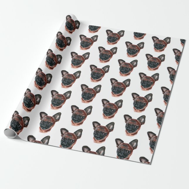 Papier Cadeau Papier à enveloppement Griffon de Bruxelles (Déroulé)