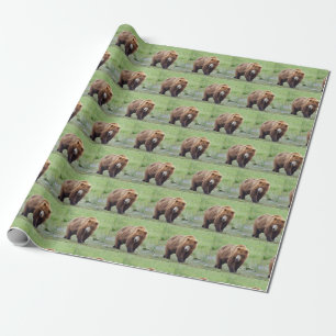 Papier Cadeau Papier à envelopper d'OURS GRIZZLY
