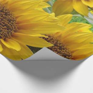 Papier Cadeau Papier à envelopper Fleurs de soleil