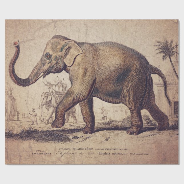 Papier Cadeau Papier de recouvrement d'éléphants ou de découpage (Plat)
