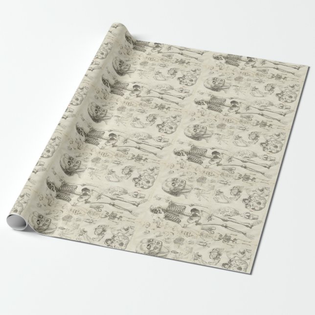 Papier Cadeau Papier de recouvrement d'illustrations Médicales V (Déroulé)
