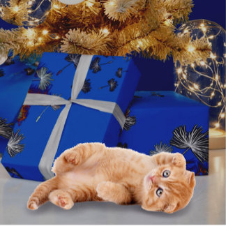 Papier Cadeau Papier d'emballage