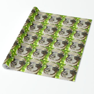 Papier Cadeau Papier d'emballage d'alpaga