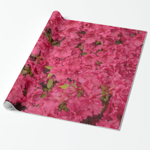 Papier Cadeau Papier d'emballage d'azalée rose