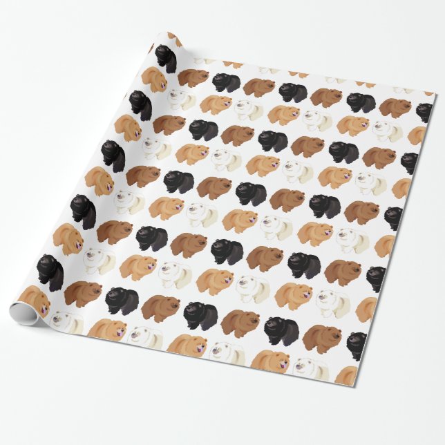 Papier Cadeau papier d'emballage de bouffe de bouffe (Déroulé)