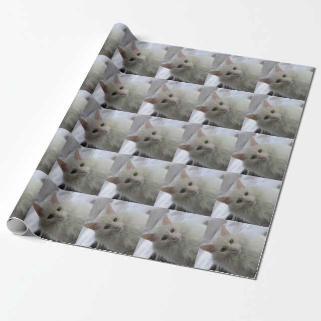 Papier Cadeau papier d'emballage de chat angora turc blanc (Déroulé)