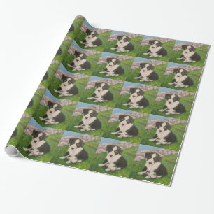 Papier Cadeau Papier d'emballage de chiot