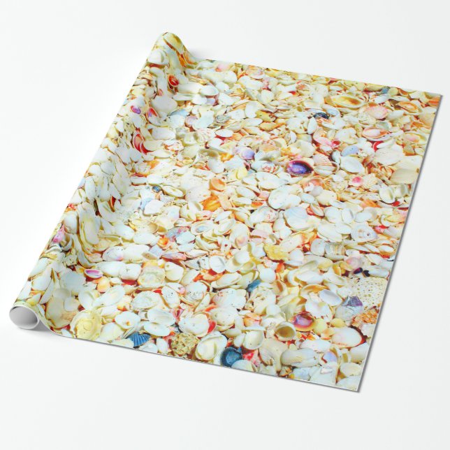 Papier Cadeau Papier d'emballage de coquillage (Déroulé)