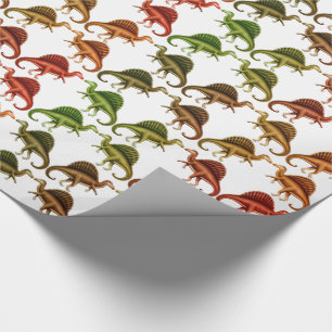 Papier Cadeau Papier d'emballage de dinosaure multicolore de
