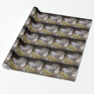 Papier Cadeau Papier d'emballage de Duncan de rat d'animal