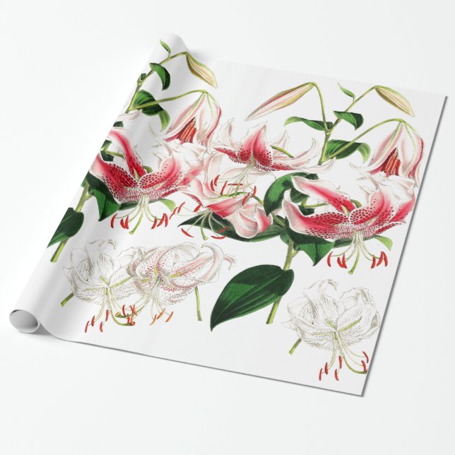 Papier Cadeau Papier d'emballage de fleurs de lis (Déroulé)