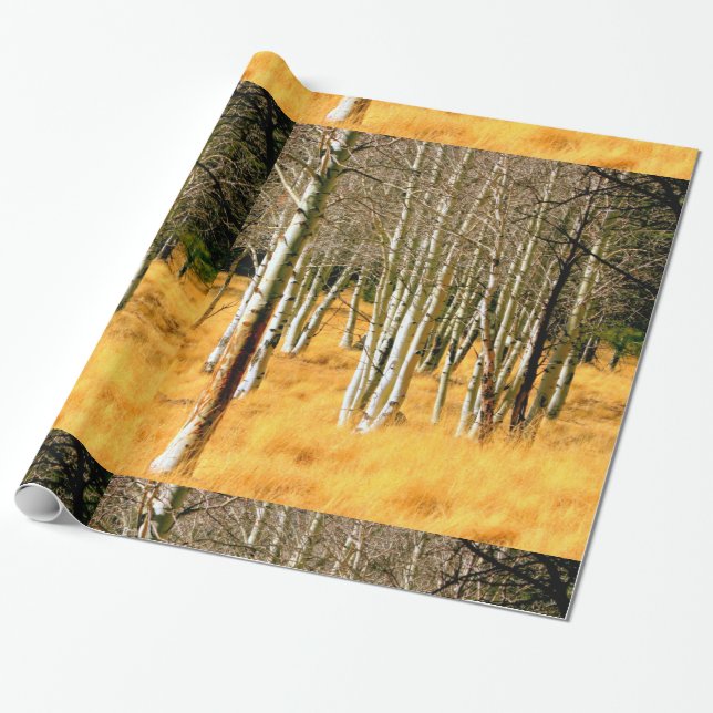 Papier Cadeau papier d'emballage de forêt de tremble (Déroulé)