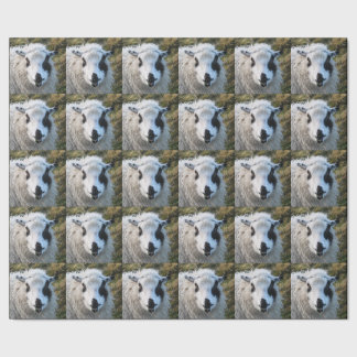 Papier Cadeau Papier d'emballage de Lambie