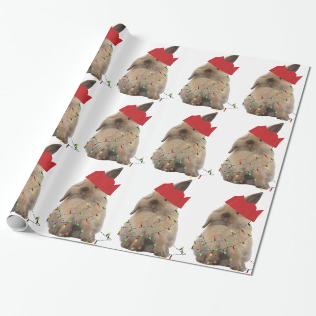 Papier Cadeau Papier d'emballage de lapin de houblon de Noël (Déroulé)