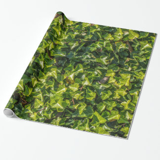Papier Cadeau Papier d'emballage de lierre vert