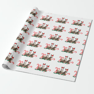 Papier Cadeau Papier d'emballage de Noël, faune, ânes