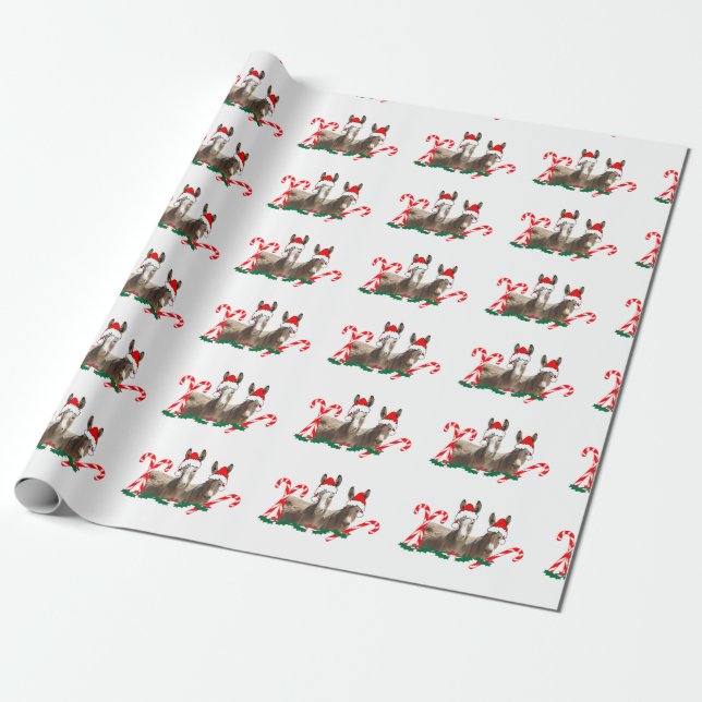 Papier Cadeau Papier d'emballage de Noël, faune, ânes (Déroulé)