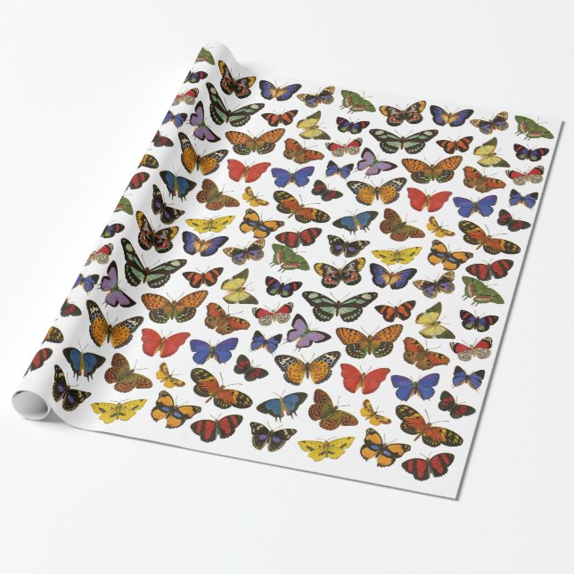 Papier Cadeau Papier d'emballage de papillon (Déroulé)